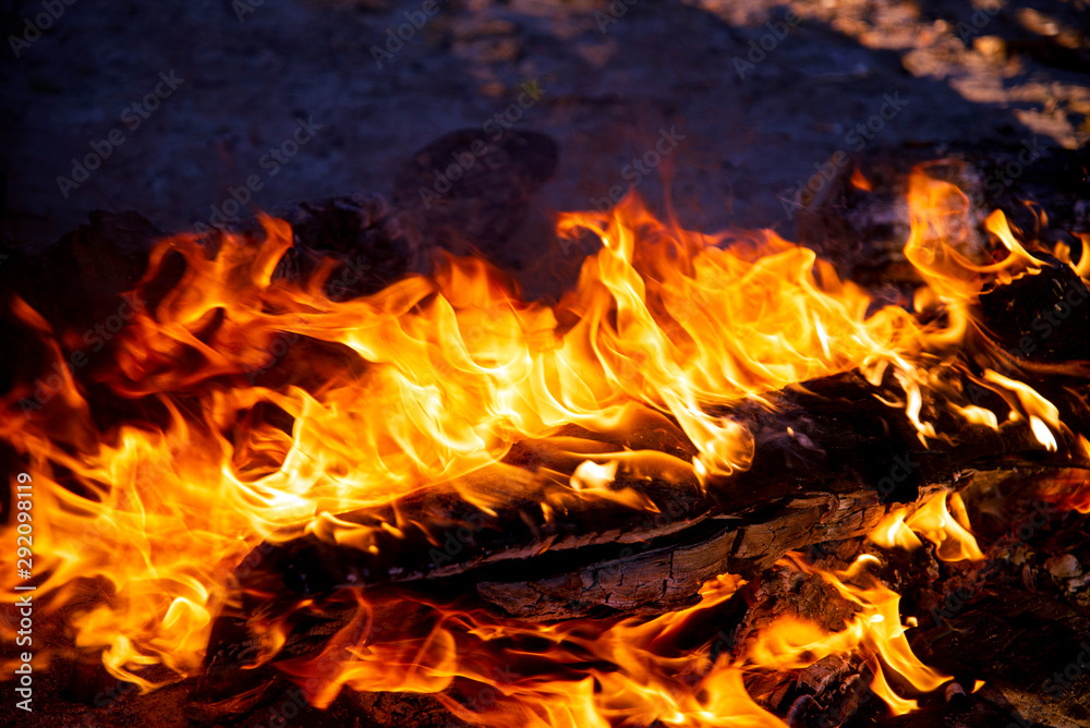 The fire. Tongues of flame. Bonfire. A burning piece of wood. Bonfire close-up. The fire. Tongues of flame. Bonfire. A burning piece of wood. Bonfire close-up.