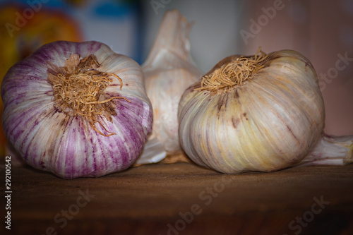 View of the big garlic from below. macro mode