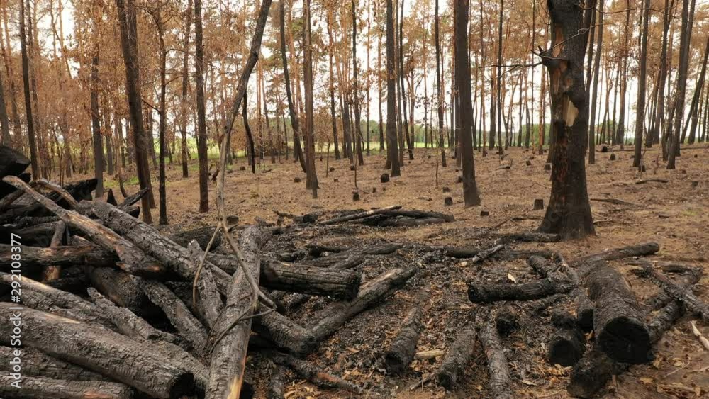 Waldbrand