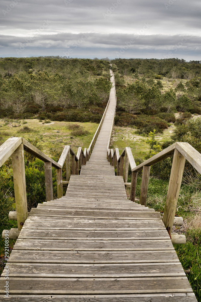Fototapeta premium Camino de futuro