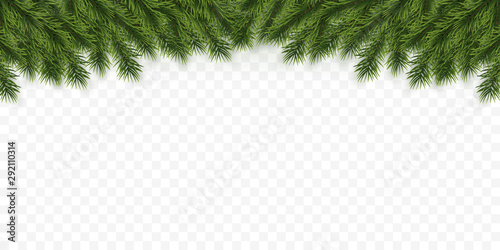 Festive Christmas or New Year Background. Christmas Tree Branches. Holiday's Background. Vector illustration