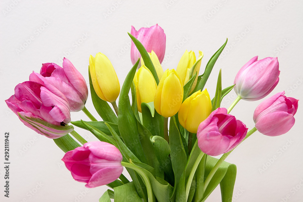 bouquet of colorful tulips