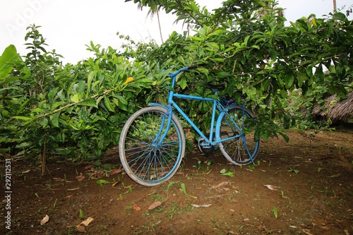 Fahrrad auf Plantage in Baracoa in Kuba 