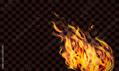 Realisric fire flame. Vector stock.