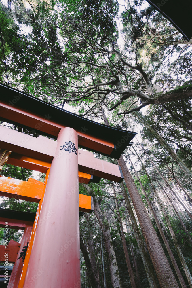 Kyoto Travel :Landscape of Fushimi Iari Taisha Kyoto Travel :Landscape of Fushimi Iari Taisha