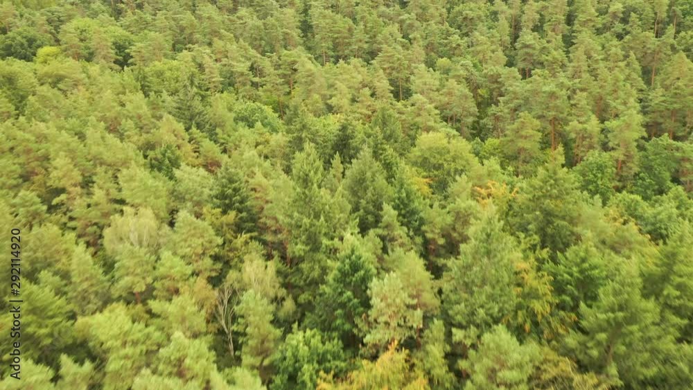 Waldbrand Waldbrand