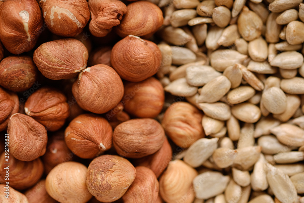hazelnuts and sunflower seeds hazelnuts and sunflower seeds