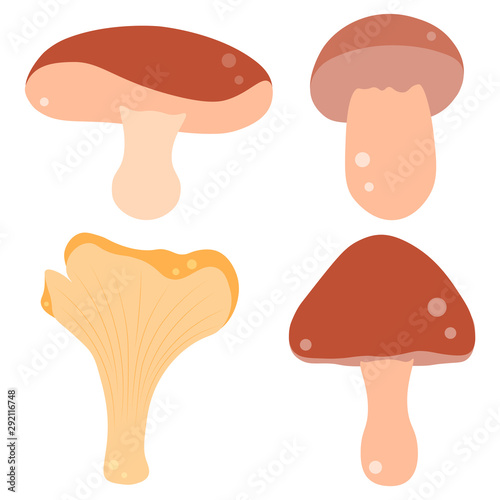 Mushrooms vector set illustration on white background