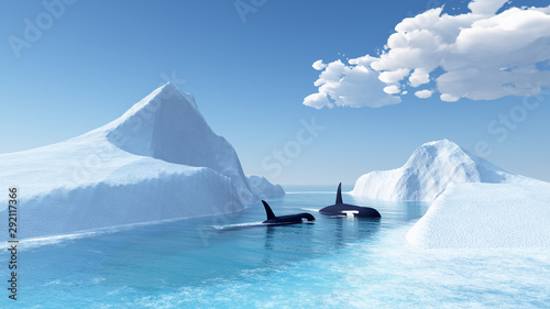 whales swim in the ocean and iceberg photo