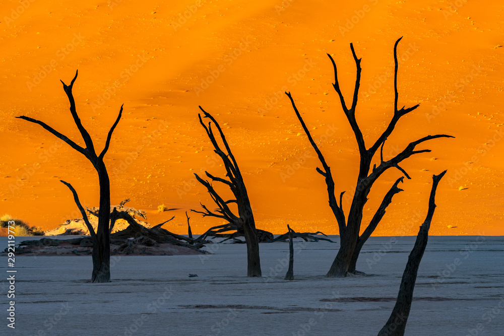 Silhouette Dead Camelthorn Trees against orange shade of color desert sand dunes at sunrise on white clay pan at Deadvlei, Sossusvlei , Namib desert , NAMIBIA Silhouette Dead Camelthorn Trees against orange shade of color desert sand dunes at sunrise on white clay pan at Deadvlei, Sossusvlei , Namib desert , NAMIBIA