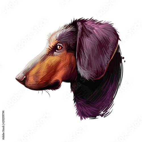 Montenegrin mountain hound, dog of crnogorski planinski goni breed digital art illustration. Pet from Montenegro called Yugoslavian. Animal has smooth coat, hunting and working doggy canine. photo