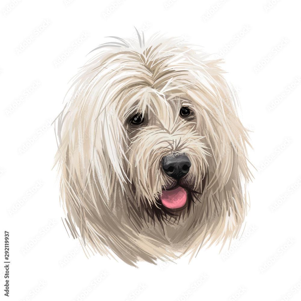 Munsterlander small, German dog digital art illustration. Hunting pointing and retrieving type of purebred animals. Portrait closeup, profile of canine from Munster region isolated vorstehhund.
