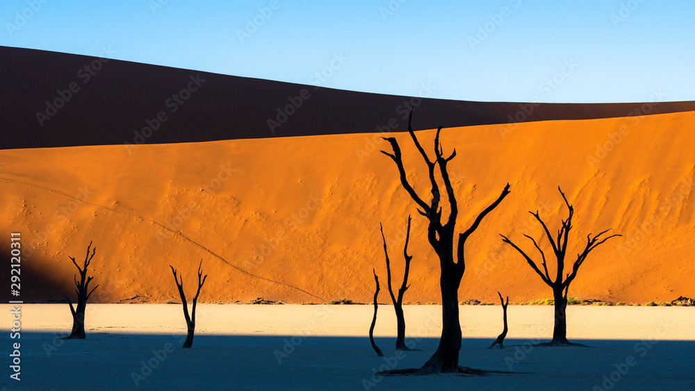 Silhouette Dead Camelthorn Trees against orange shade of color desert sand dunes at sunrise on white clay pan at Deadvlei, Sossusvlei , Namib desert , NAMIBIA Silhouette Dead Camelthorn Trees against orange shade of color desert sand dunes at sunrise on white clay pan at Deadvlei, Sossusvlei , Namib desert , NAMIBIA