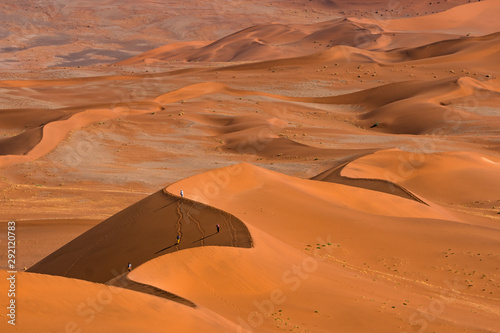 Beautiful landscape of orange sand dune desert at Namib desert in Namib-Naukluft national park Sossusvlei in Namibia. photo