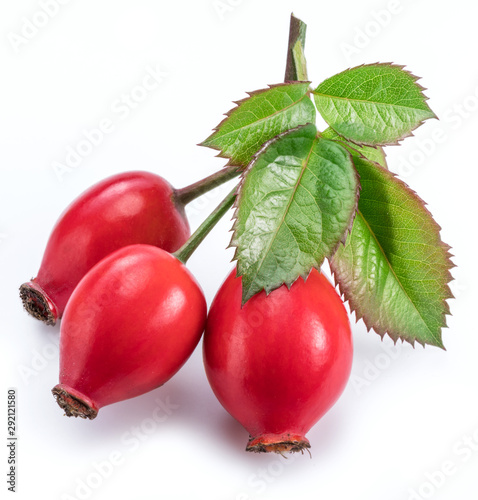 Rose-hips with rose leaves  isolated on a white background.