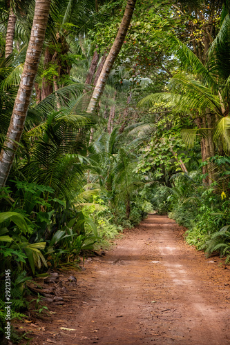 Ground rural road in the middle of tropical jungle at sunny day, vertical composition.