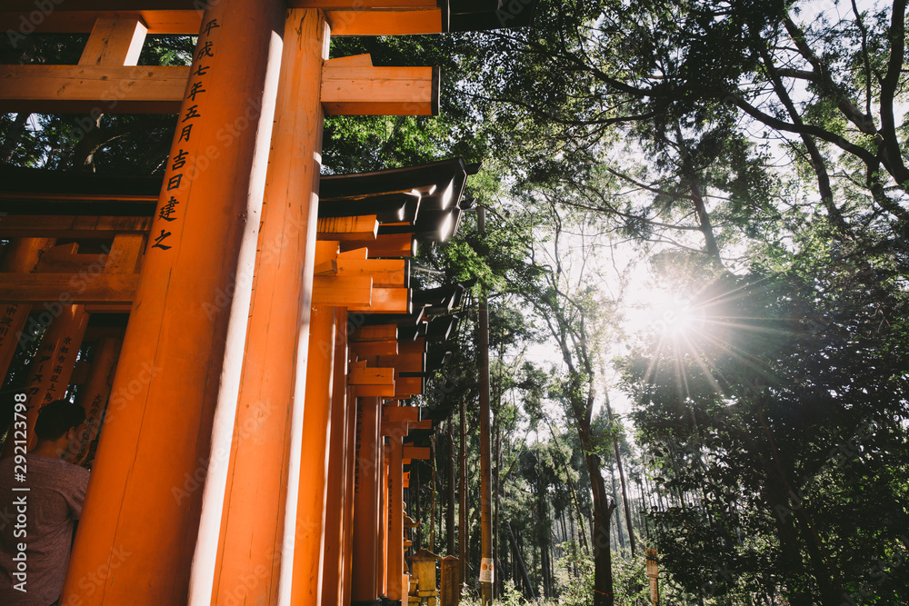 Harmony with Nature : Landscape of Fushimi Inari Taisha