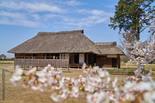 桜町陣屋跡　陣屋