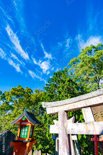 Kyoto Travel : Landscape of Fushimi Inari Taisha