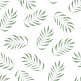 Tropical seamless pattern with fern, palma leaves, green color branches on white background. Floral vector summer backgound