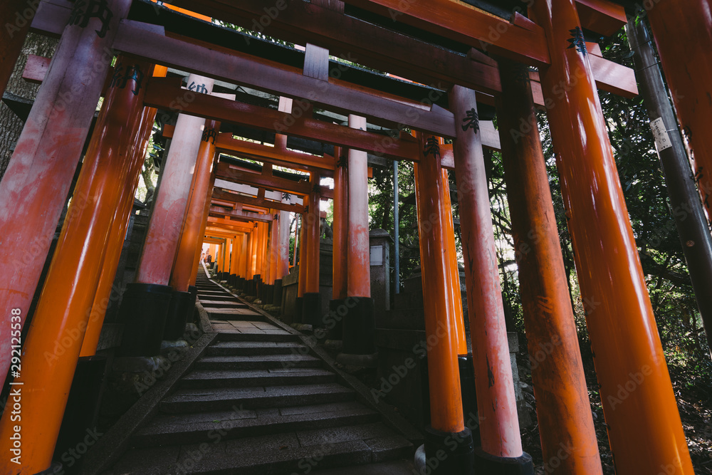 Kyoto Travel : Landscape of Fushimi Inari Taisha Kyoto Travel : Landscape of Fushimi Inari Taisha