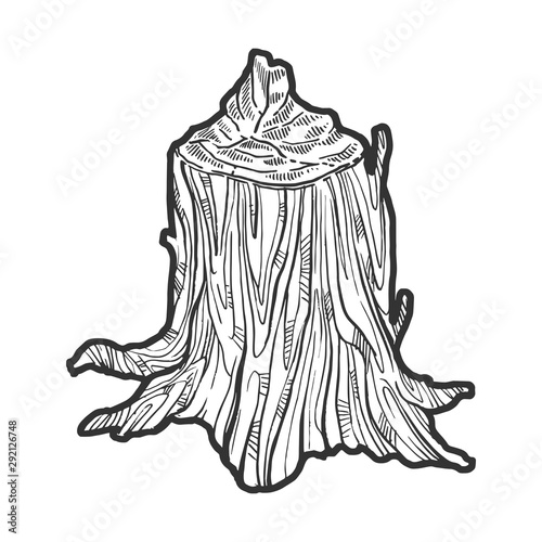 Stump of tree made by beaver animal sketch engraving vector illustration. Tee shirt apparel print design. Scratch board style imitation. Black and white hand drawn image.