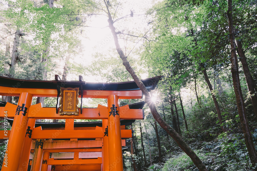 Kyoto Travel : Landscape of Fushimi Inari Taisha Kyoto Travel : Landscape of Fushimi Inari Taisha