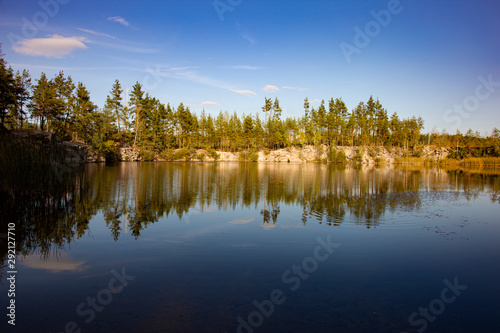 Trees reflected in the lake