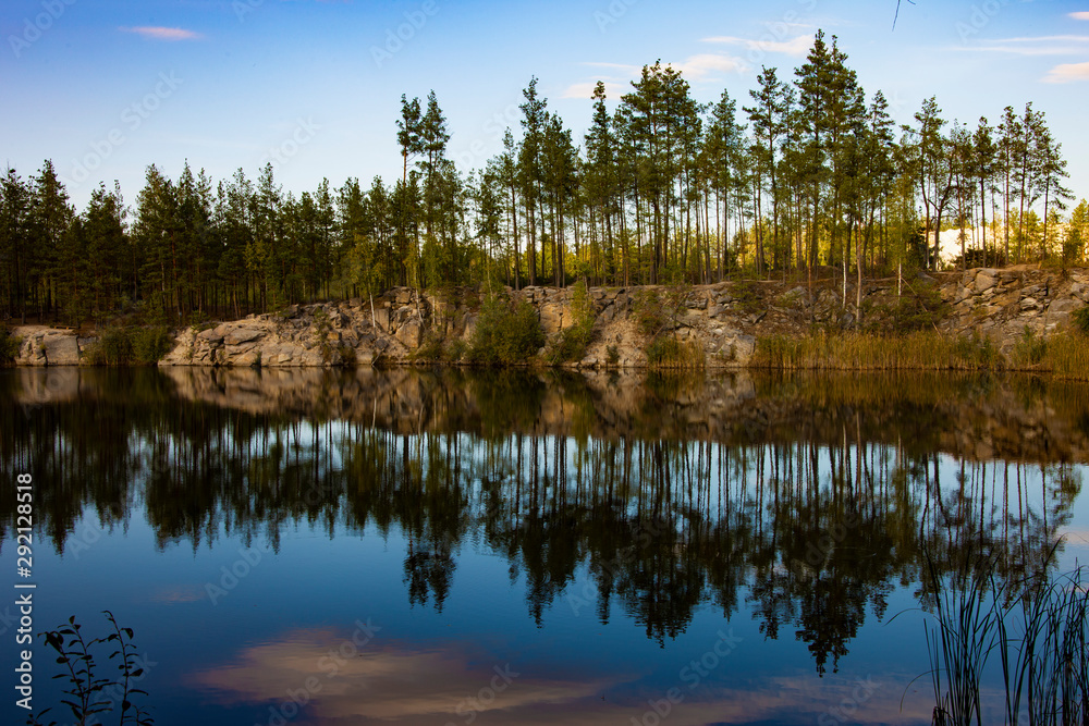Trees reflected in the lake Trees reflected in the lake