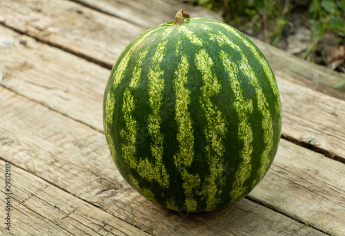 Watermelon naturally grown without nitrates concept. Watermelon benefits