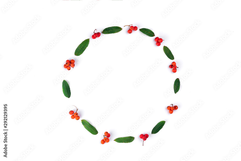 Minimalistic colorful natural round frame made out of rowan leaves and berries on white background. Flat lay, top view, copy space