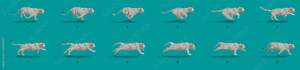Tiger run cycle animation sequence Stock Vector | Adobe Stock Tiger run cycle animation sequence Stock Vector | Adobe Stock