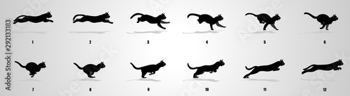 Cat Run cycle animation sequence
