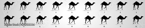 Camel Walk cycle animation sequence