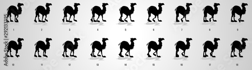 Camel Walk cycle animation sequence