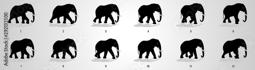 Elephant run cycle animation sequence