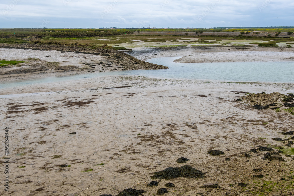 Ile de Re landscape Ile de Re landscape