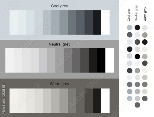 Gray color tones trend 2019 set. Cool, neutral, warm grey set smooth gradient from light to dark. Unique color palettes for designers and architects. Design of interior, fashion harmony solutions.