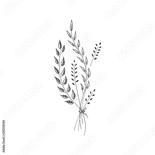 Botanical doodle. Floral elements. A small bouquet of grass  branches and flowers. Hand drawn illustration  isolated on white