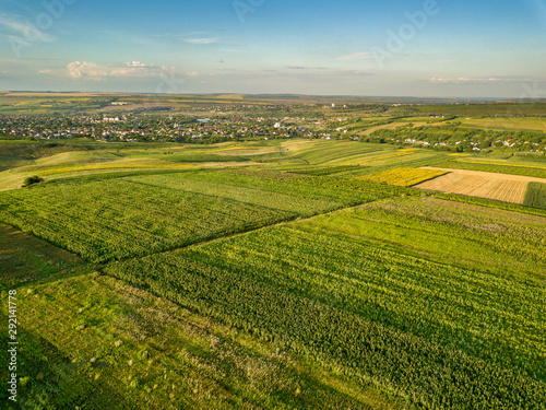 Aerial view of the green and yellow rice field, grew in different pattern at sunset. © Igor Syrbu