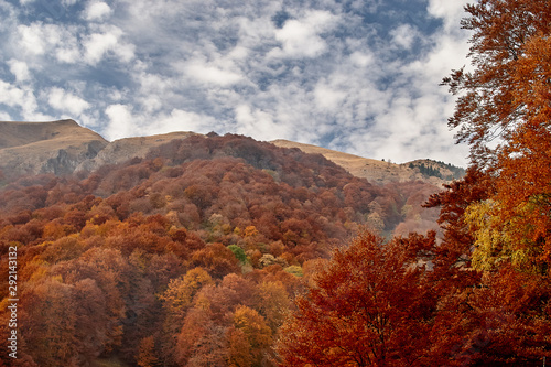 autumn in carpathians mountain