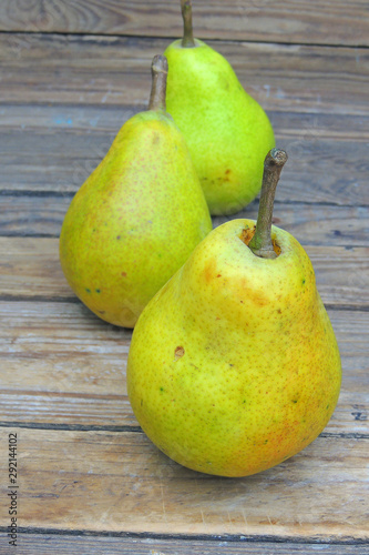 Group of pear