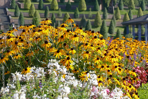 Beete mit wei  en und gelben Blumen in einem Park