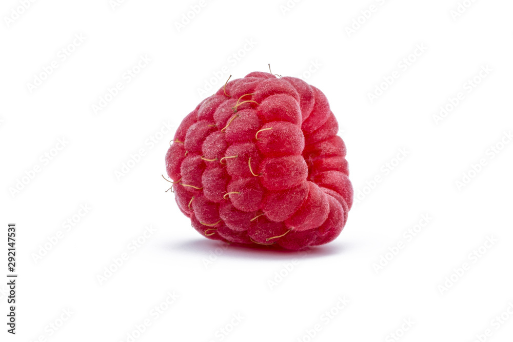 raspberry on white background isolated raspberry on white background isolated