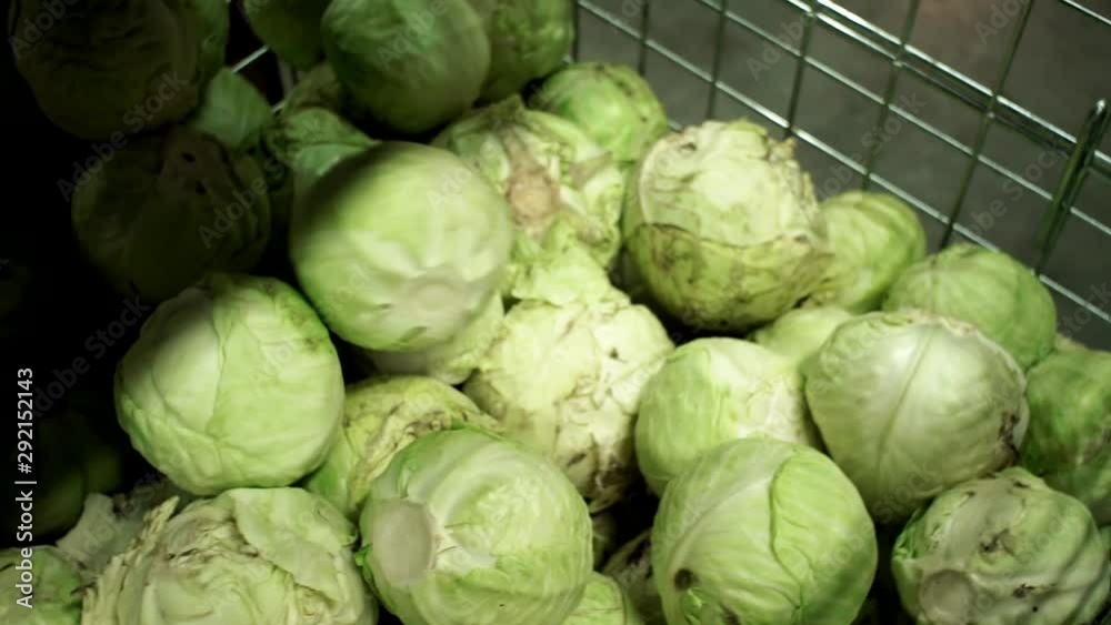 sale of raw cabbage on the counter of a hypermarket sale of raw cabbage on the counter of a hypermarket