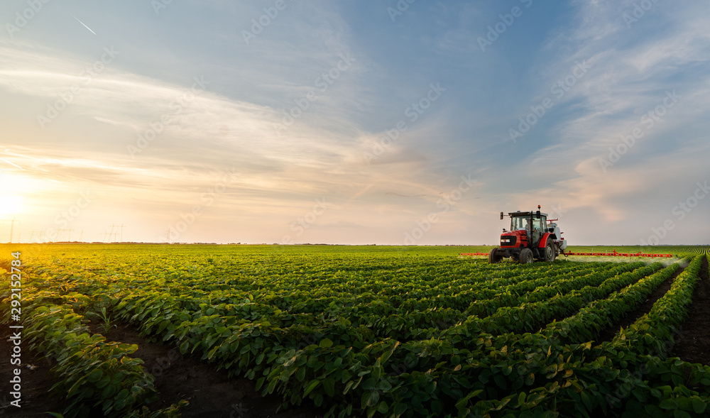 Tractor spraying soybean field - obrazy, fototapety, plakaty 