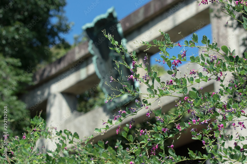 Obraz premium 京都、梨木神社の鳥居の前に咲く萩の花です