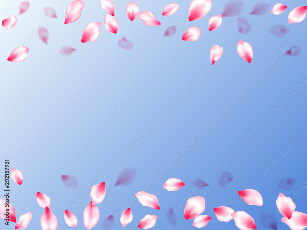 Pink sakura petals confetti flying and falling