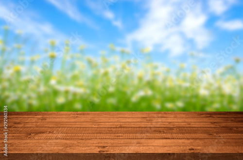 Wood Table with Blurred Nature Background