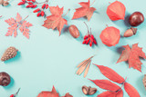 autumn leaves on blue paper background